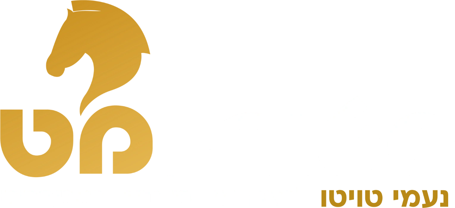 Studio Mat Logo